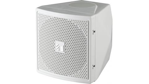 Loa vệ tinh: BS-S20W