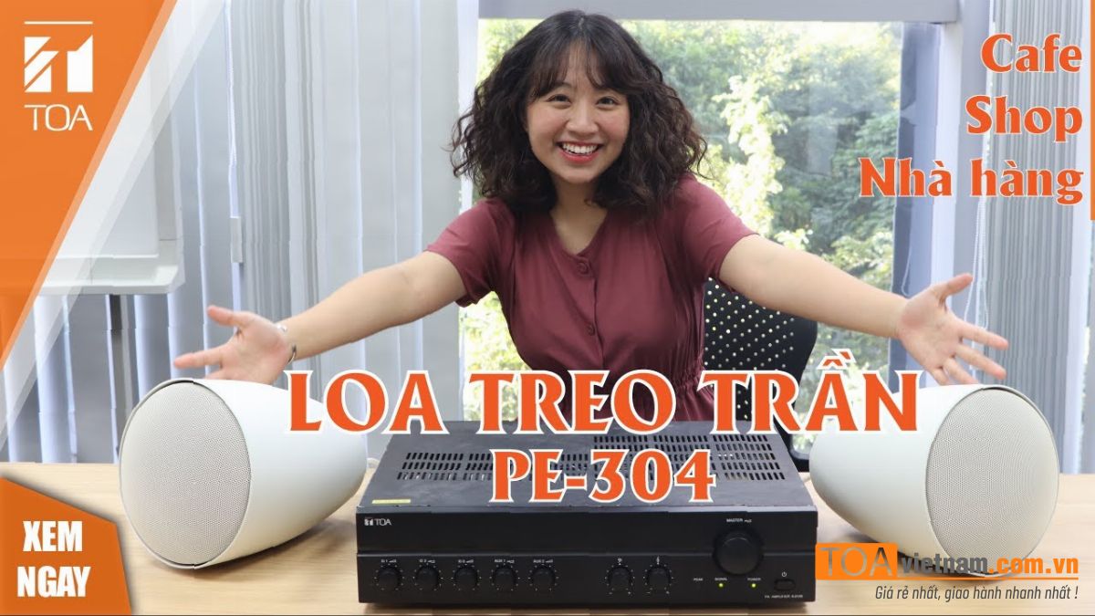 Loa thả trần TOA