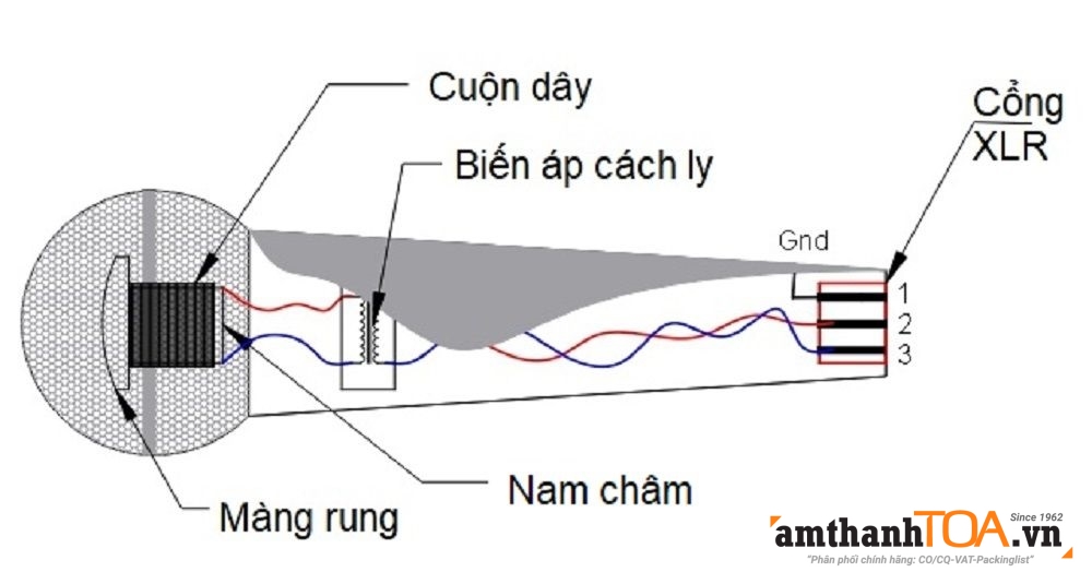 Micro điện động là gì, ưu và nhược điểm của Micro điện động