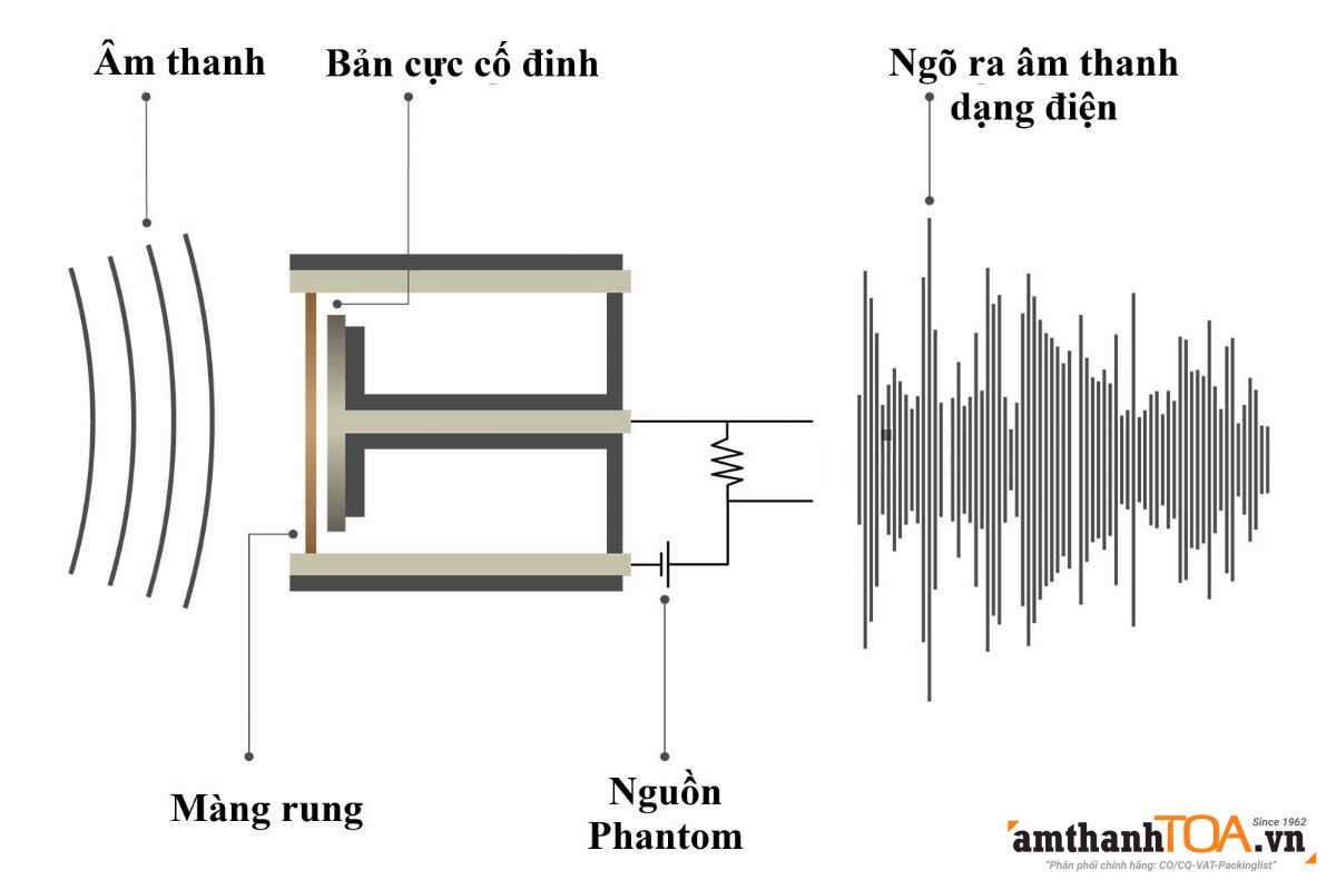 Micro điện dung là gì, ưu và nhược điểm của Micro điện dung
