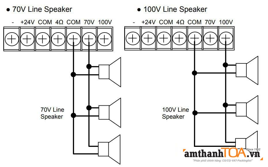 Nối loa vào Amply A-2000
